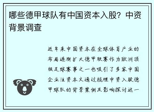 哪些德甲球队有中国资本入股？中资背景调查